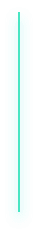 background graphic